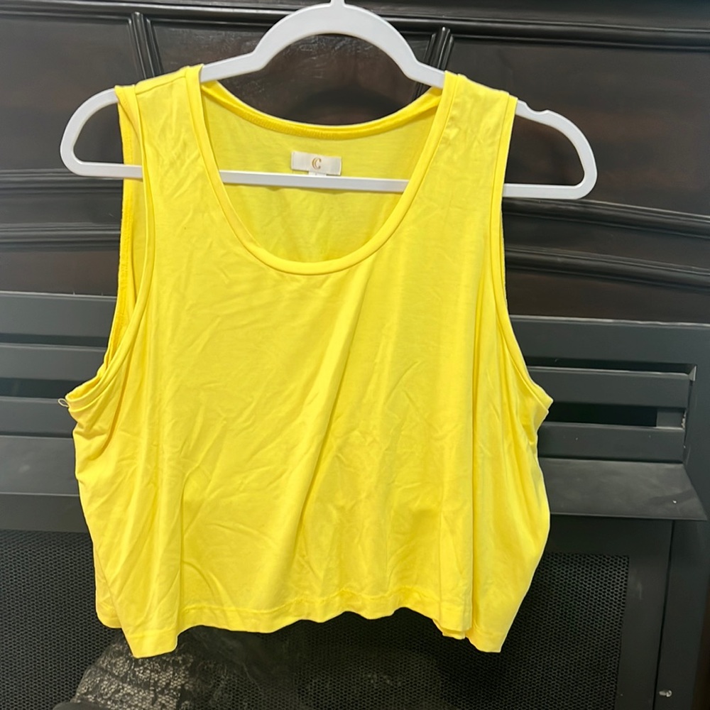 Sleeveless crop top